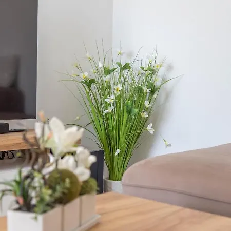 Gasthuis Edi - Zf Hvar