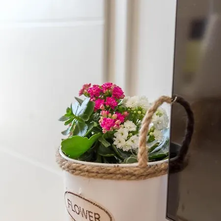 Gasthuis Edi - Zf Hvar 4*