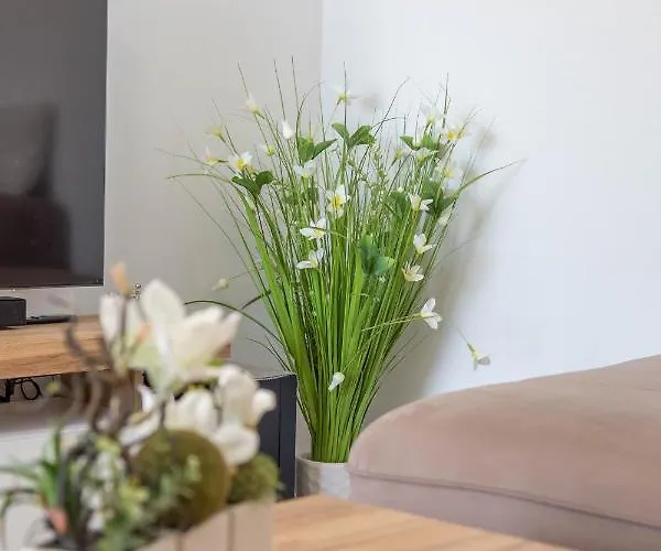 Affittacamere Edi - Zf Hvar