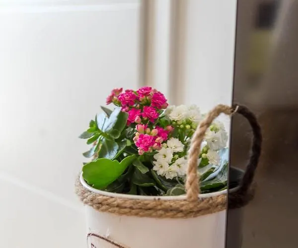 Affittacamere Edi - Zf Hvar 4*