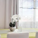 Edi - Zf Hvar 4*