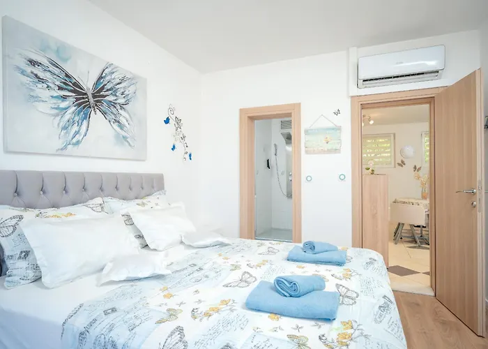 Edi - Zf Hvar Хвар